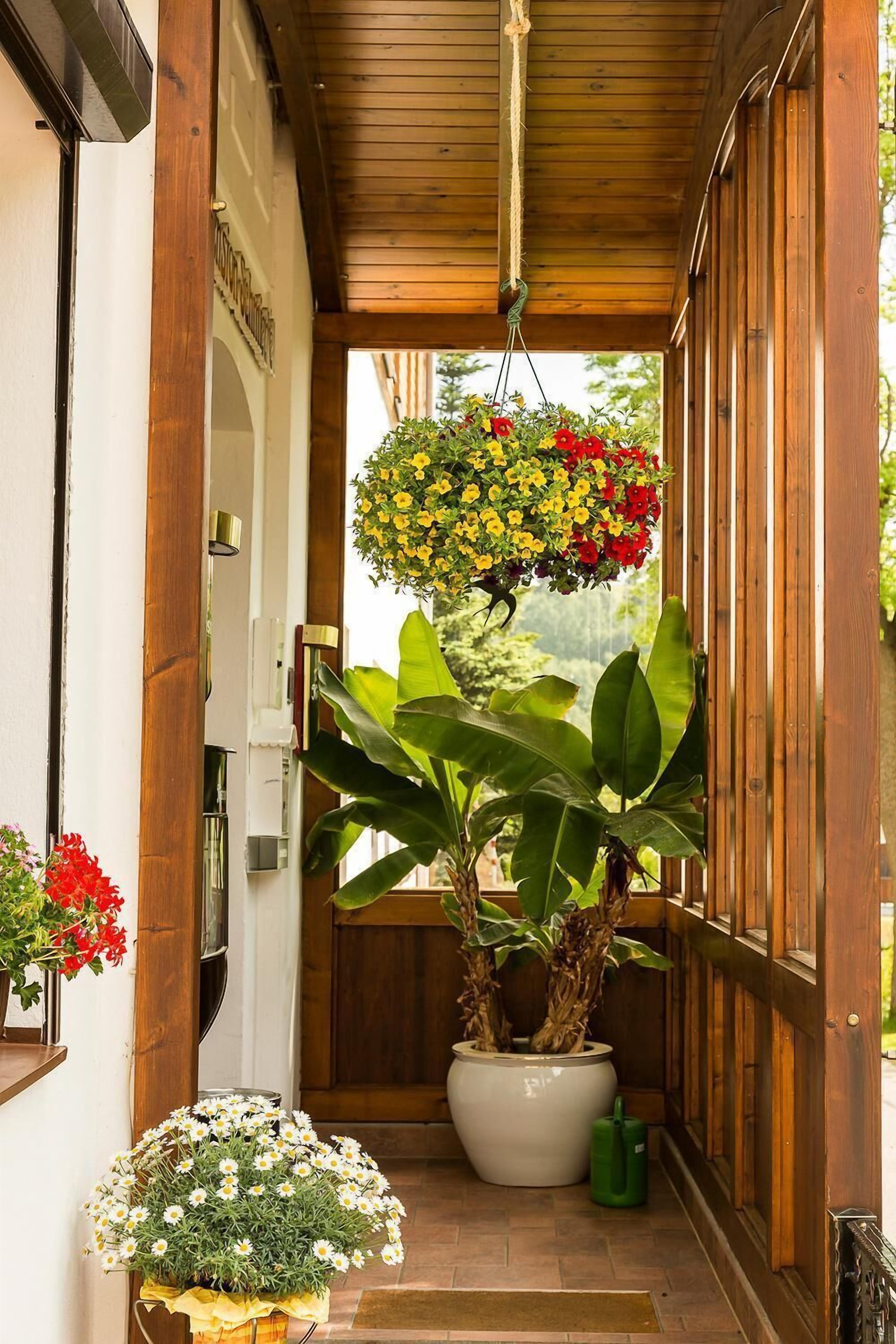 Un corridoio in legno con un cesto di fiori appeso, una pianta in vaso e una porta.