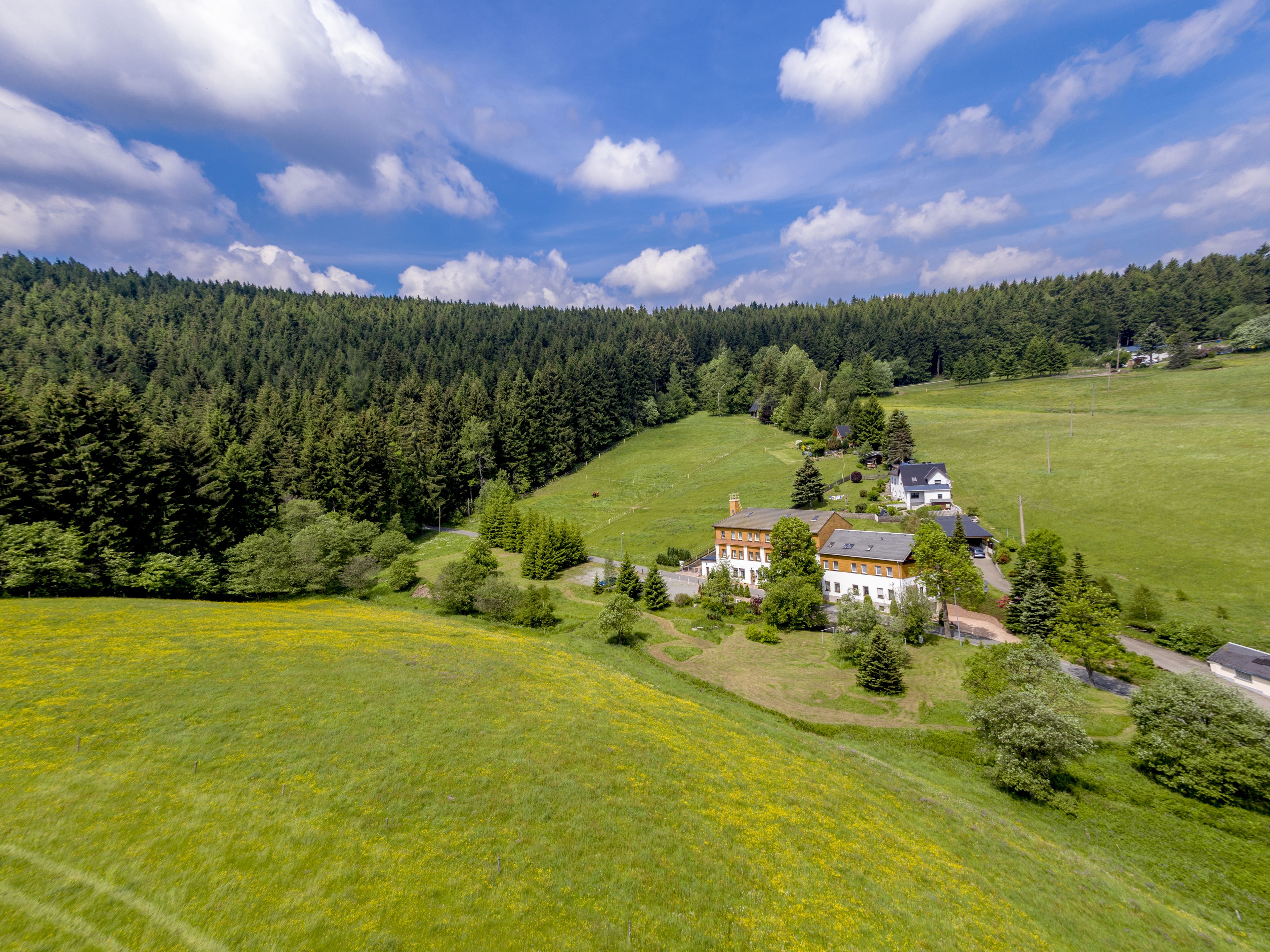 A rural house with a large garden, surrounded by a forested area.