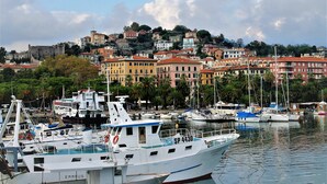 A marina with boats docked, a large white boat in the foreground, and a hillside of colorful buildings in the background. - Golfo Della Luna (La Spezia)