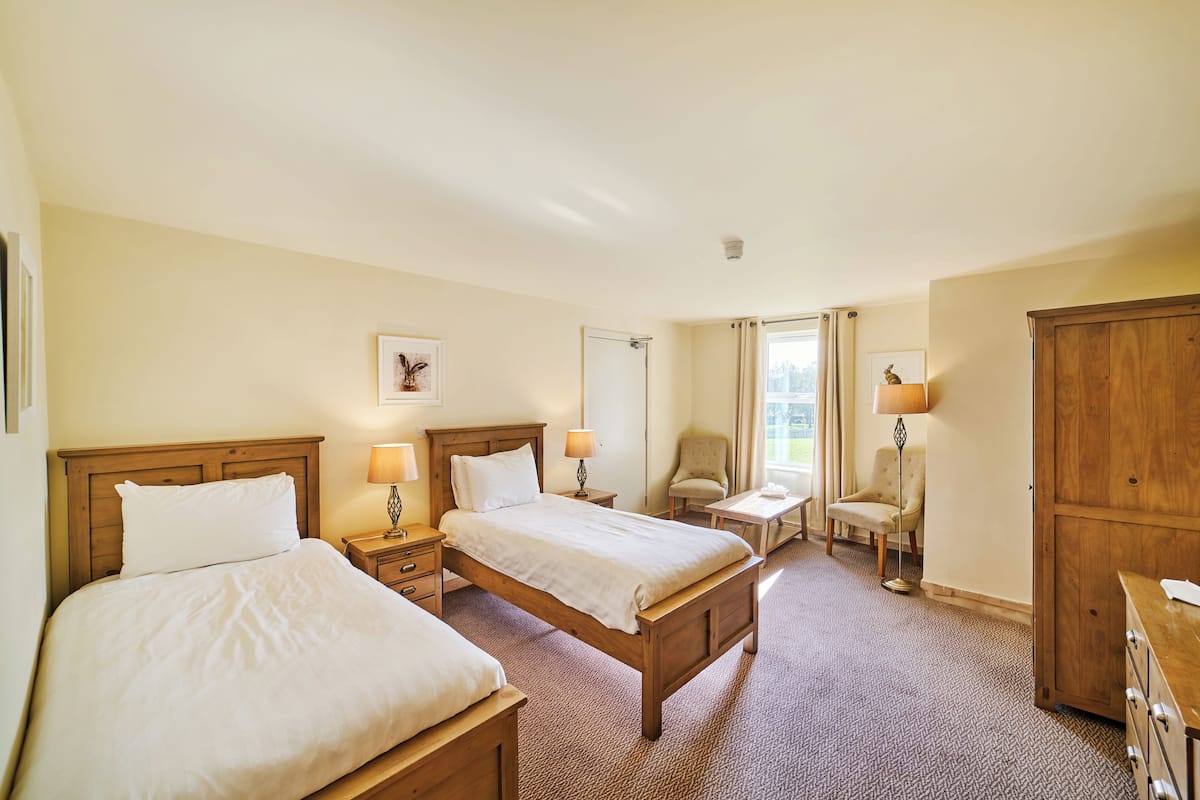 Classic Double or Twin Room | Desk, soundproofing, iron/ironing board, free cribs/infant beds
