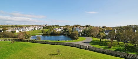 Un barrio residencial con casas, un lago y una carretera sinuosa.