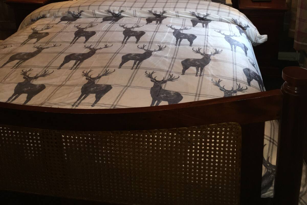 King Room | Iron/ironing board, free WiFi, bed sheets