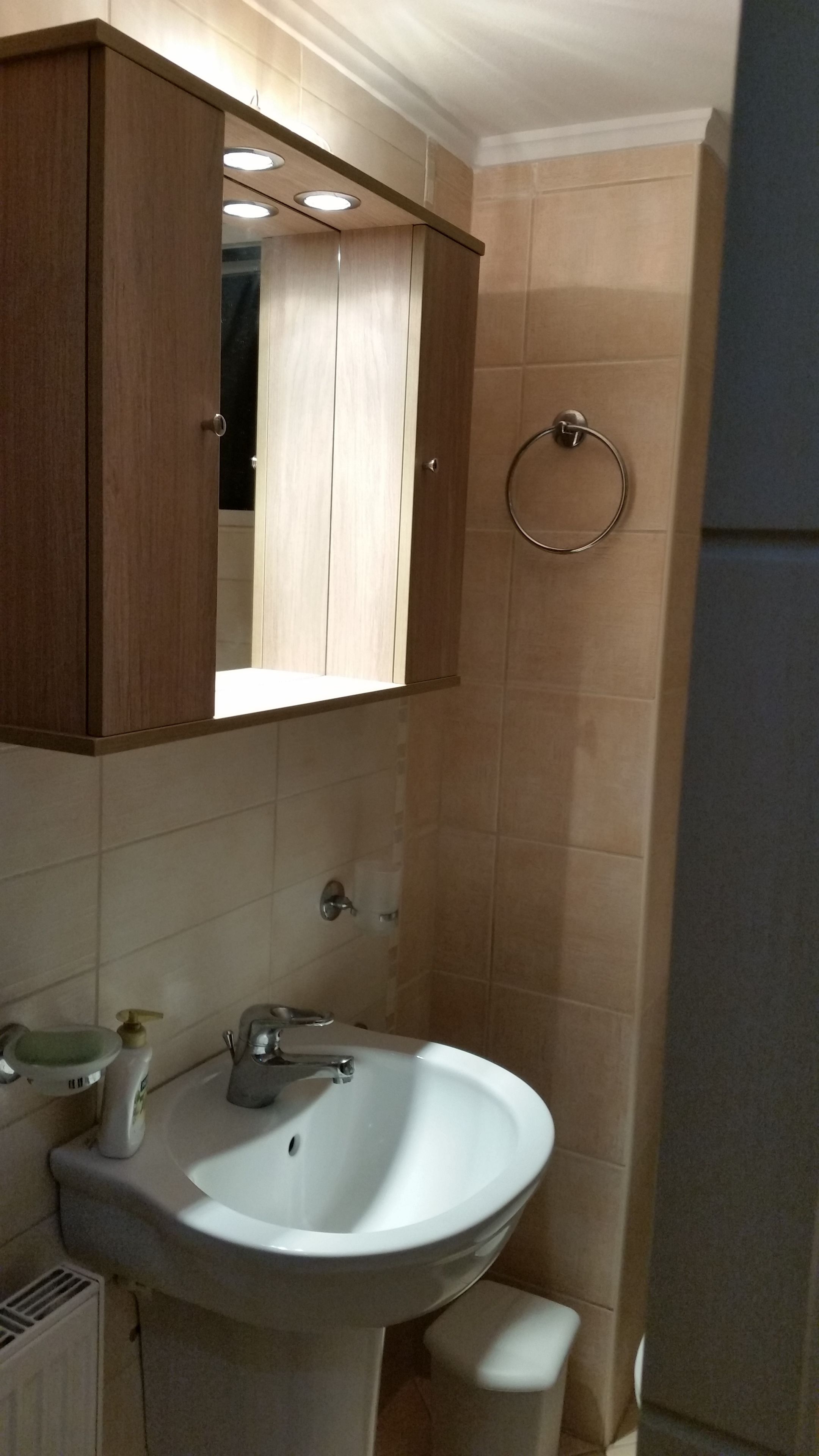 A bathroom with a white sink, a wooden cabinet, and a towel ring on the wall.