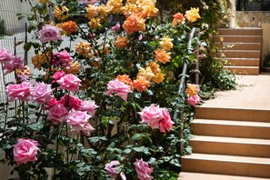 Exterior - Dreamy Holidays Apartments - Adults Only (Chania)