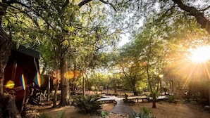 A serene outdoor area with wooden pathways, seating areas, and lush greenery. - Avoca Private Bushcamp (Bushbuckridge)