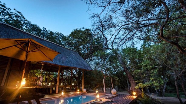 A wooden deck with a pool, surrounded by trees and a thatched-roof structure. - Avoca Private Bushcamp (Bushbuckridge)
