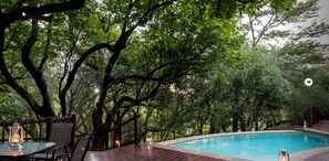 Outdoor pool, an infinity pool, pool loungers - The Island River Lodge (Hoedspruit)