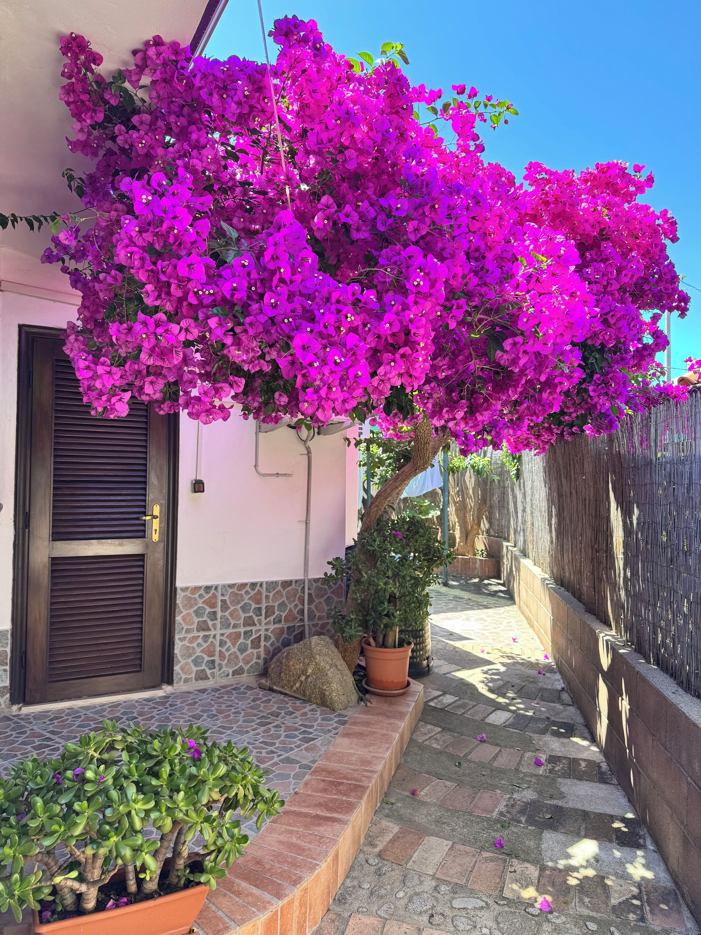 Habitación doble, baño en la habitación