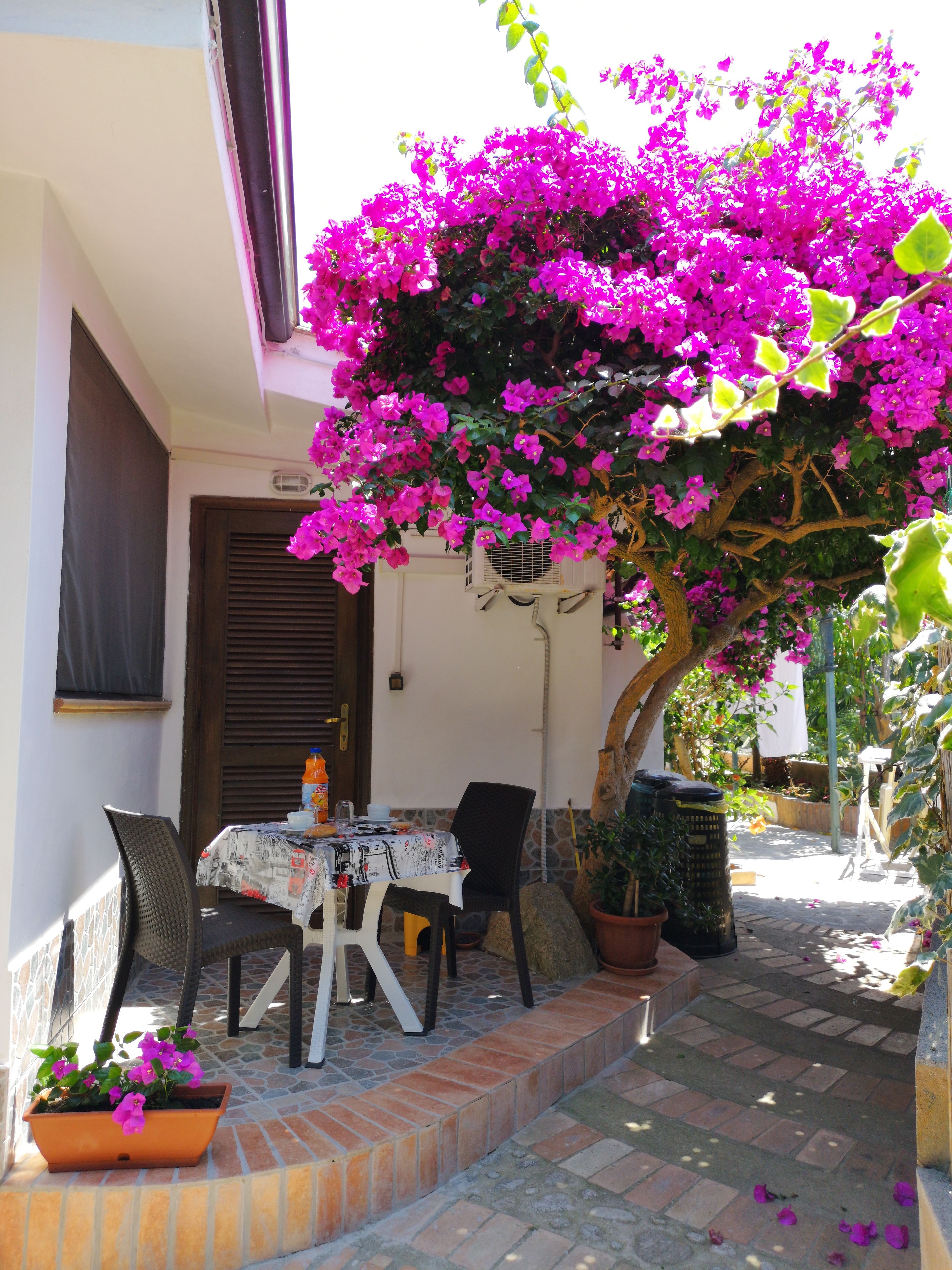 Photo - B&B Baia di Riaci Tropea