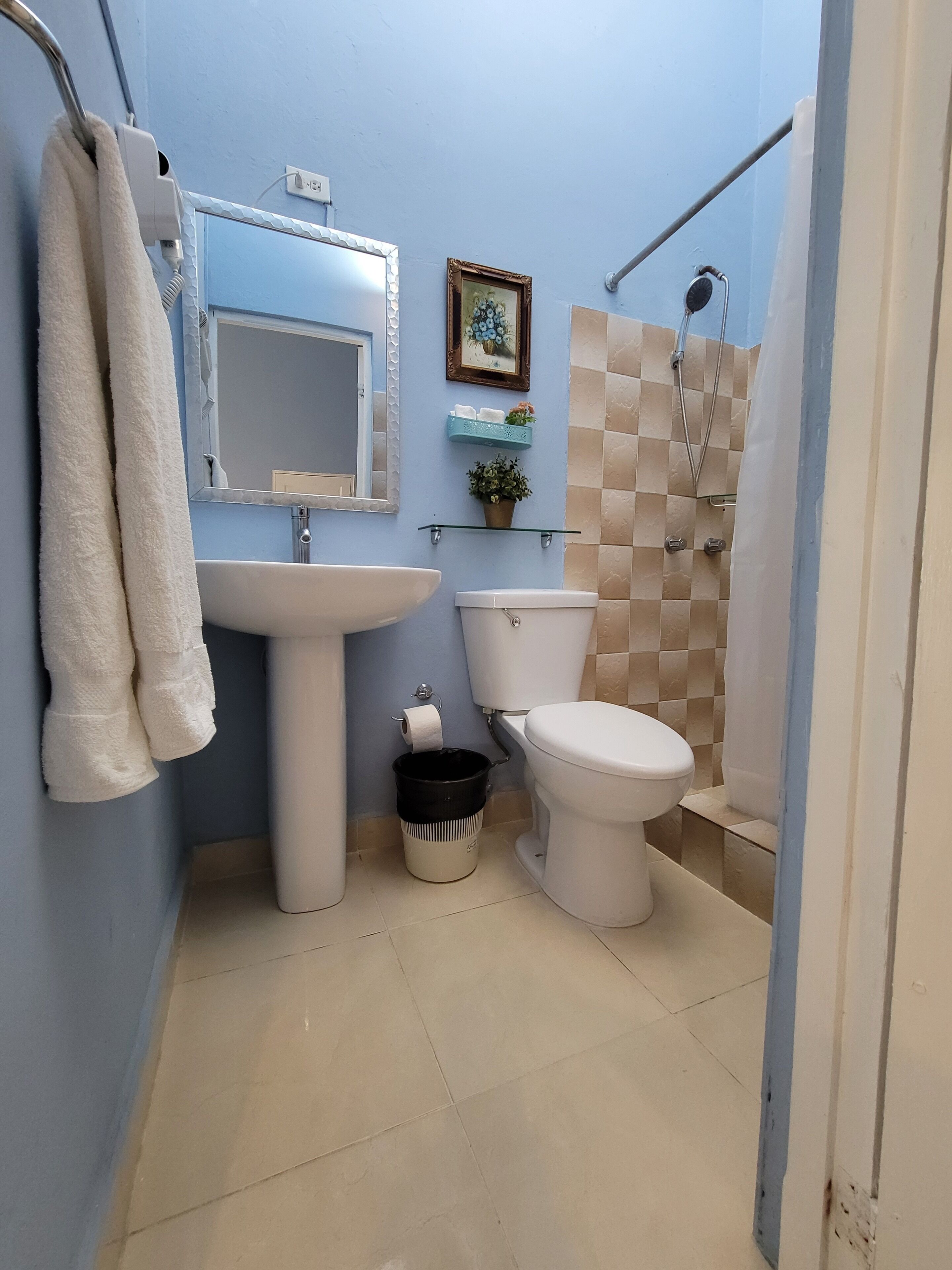 shower, free toiletries, hair dryer, towels