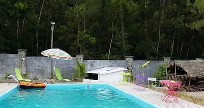 The Sanctuary