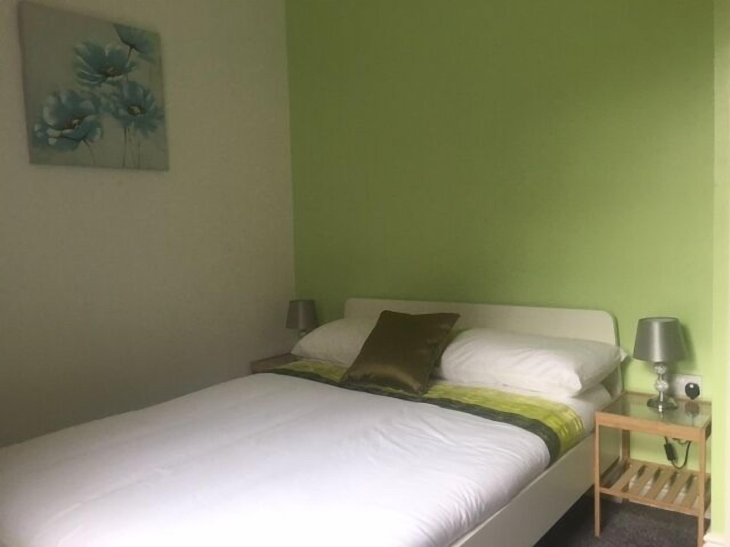 A single bed with white bedding, a green wall, and a small bedside table with a lamp.