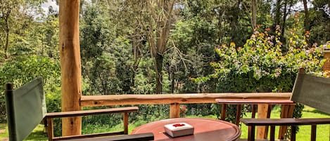 Vista al jardín