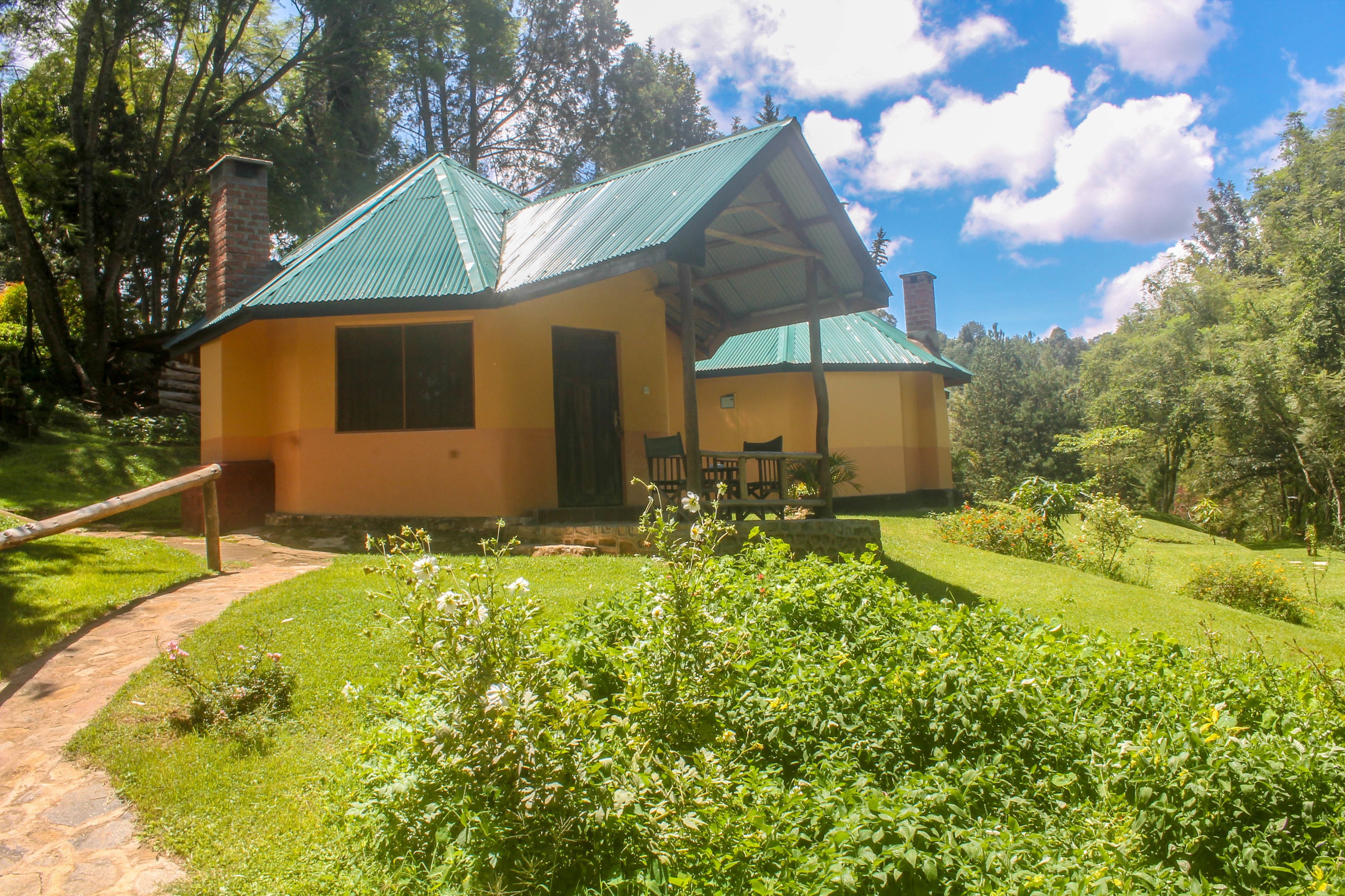 Executive Double Room | Terrace/patio