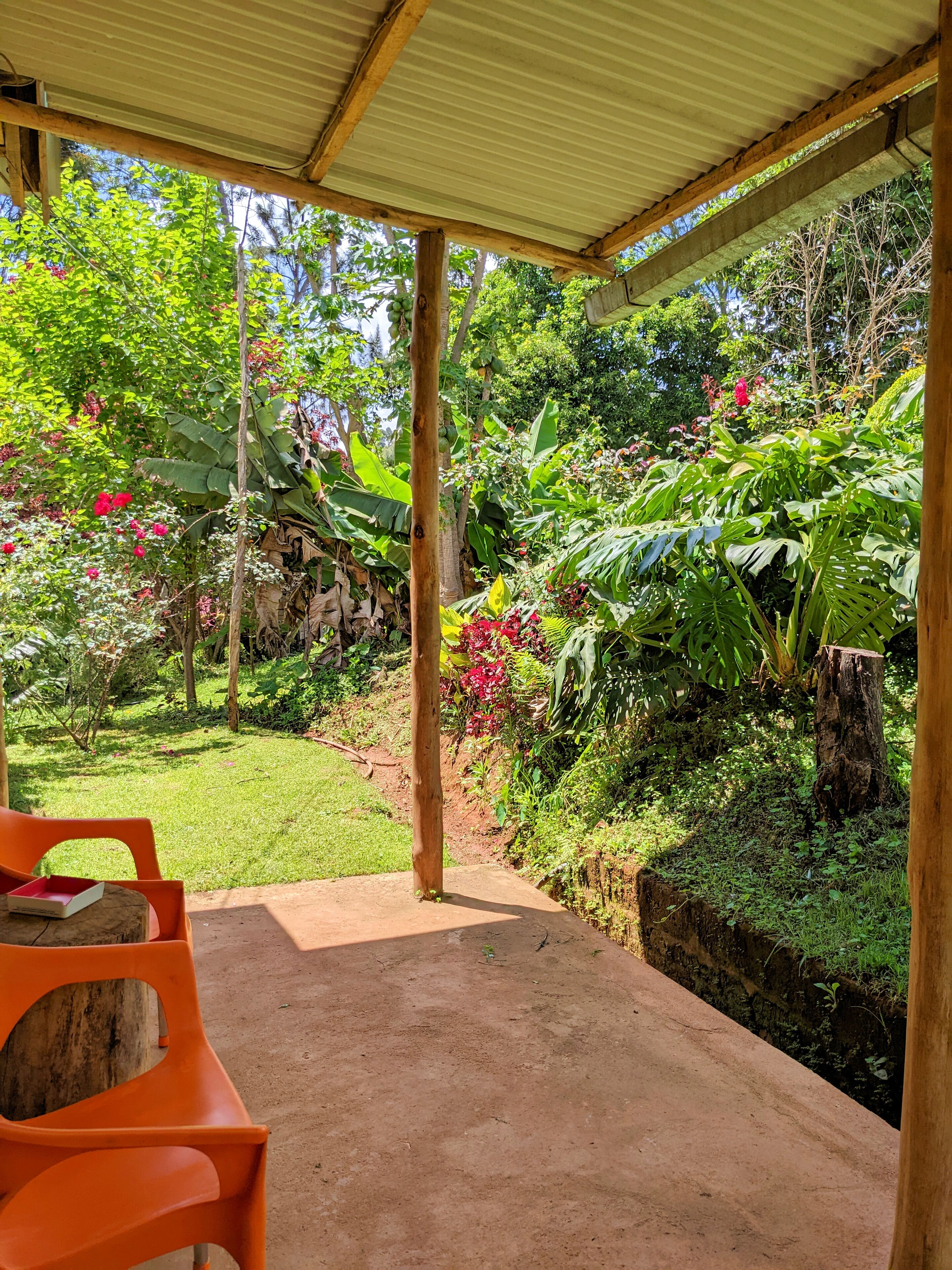Pemandangan taman
