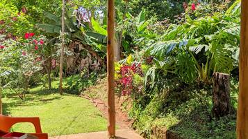 Pemandangan taman