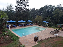 Outdoor pool, pool umbrellas, sun loungers