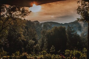 A forested landscape with a view of distant hills. - Lawns Hotel (Lushoto)