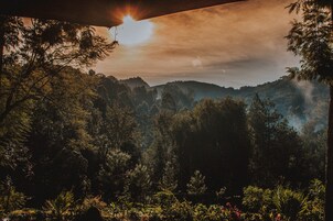 A forested landscape with a view of distant hills.