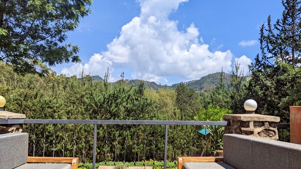 Una terraza de madera con dos sofás grises con cojines, una mesa central con una maceta de terracota y vistas a un bosque frondoso y colinas.