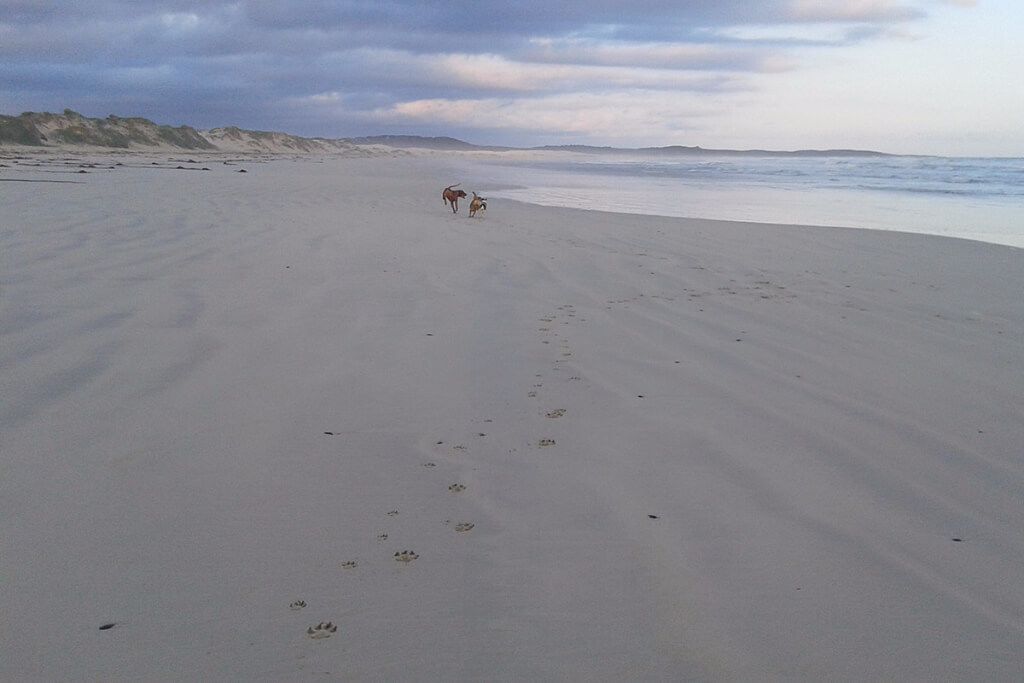 Toalhas de praia 