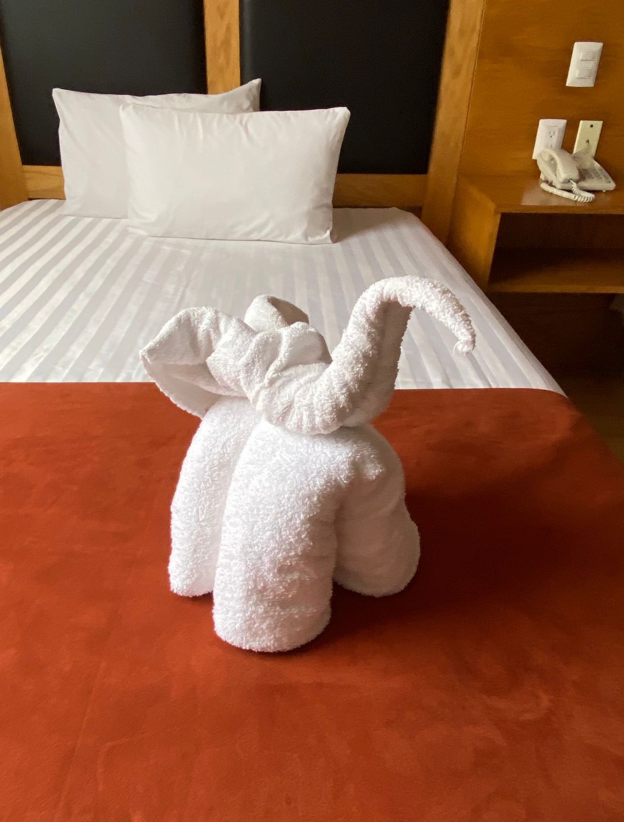 42-inch flat-screen tv with cable channels, tv