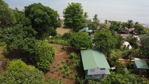 Ngoại thất