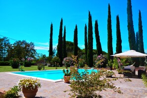 En swimmingpool med en patio, omgivet af høje cypresser og forskellige blomstrende planter.