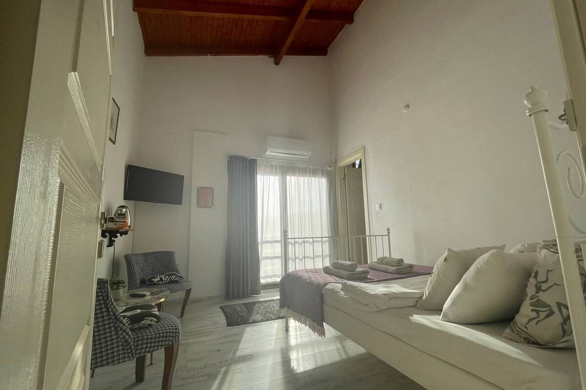 A room with a bed, a sofa, a chair, a TV, and a window with curtains.