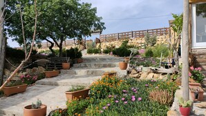 Un jardí amb escales de pedra que condueixen a una tanca de fusta, envoltat de diverses plantes i flors en testos.
