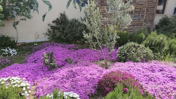 花園