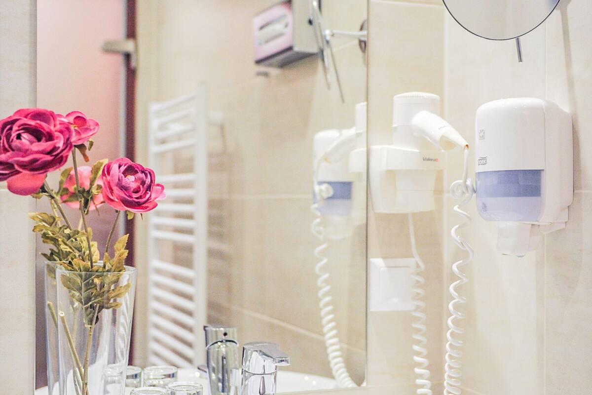 double or twin room | bathroom | shower, free toiletries, hair dryer, towels