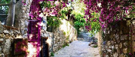 Pintu masuk properti