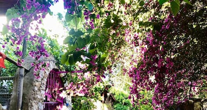 Eski Datca Pansiyon Cafe