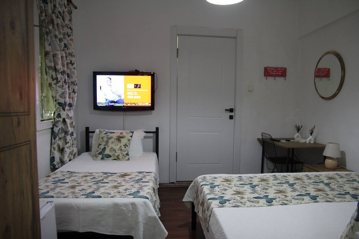A bedroom with two beds, a TV mounted on the wall, a desk with a chair, and a door.