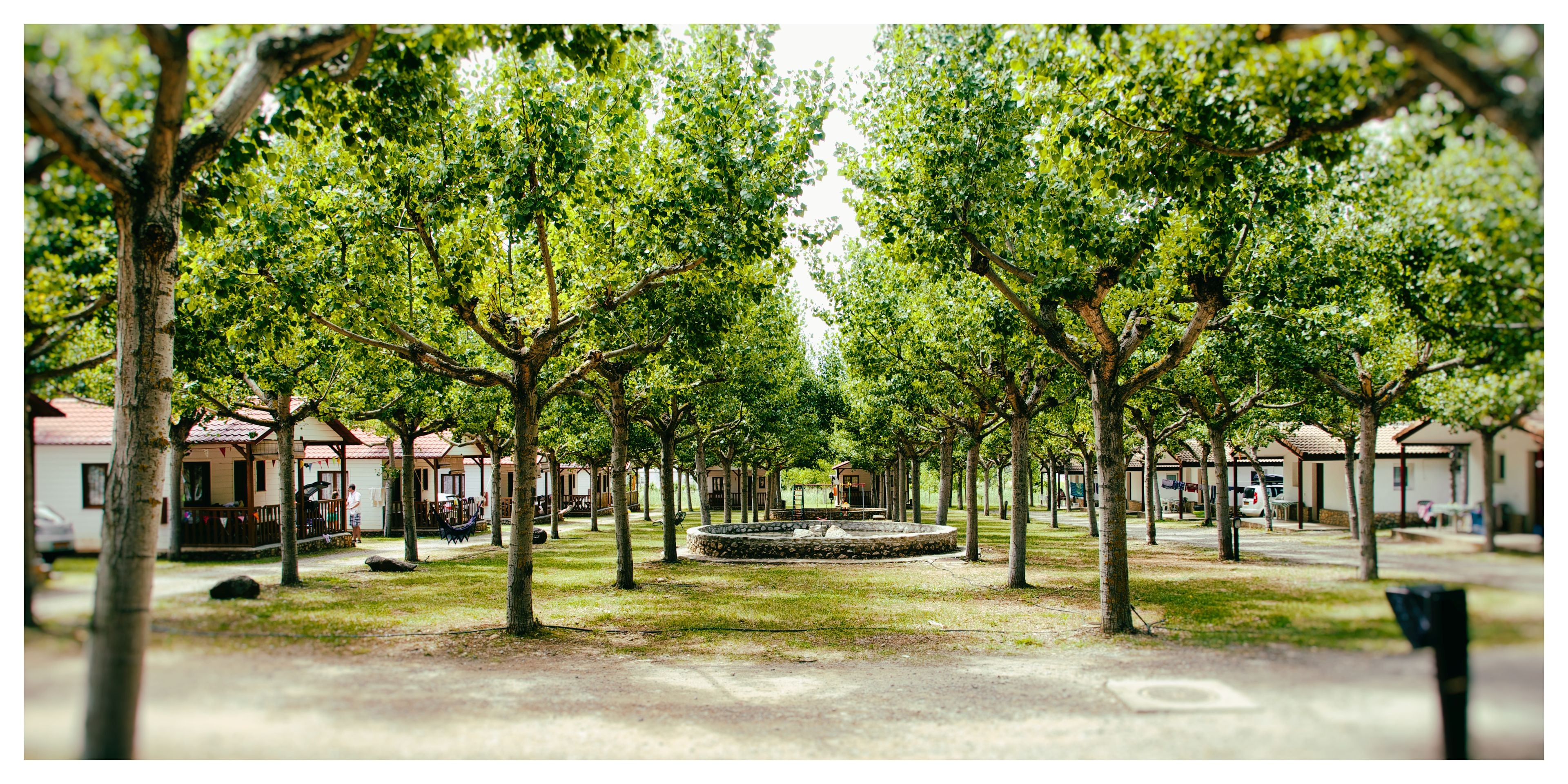 Àrea exterior de l'allotjament