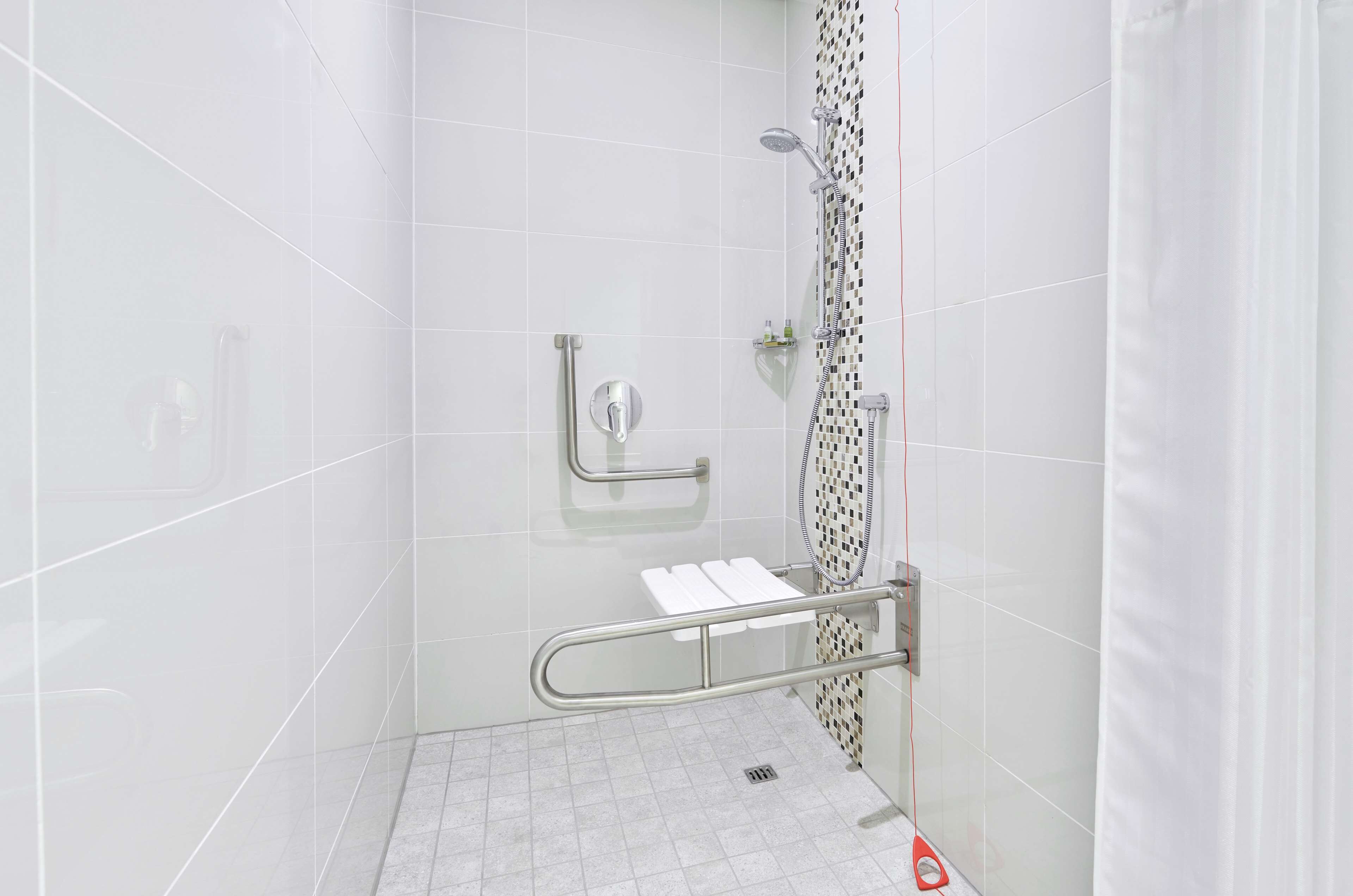 Room, 1 King Bed, Accessible | Bathroom shower
