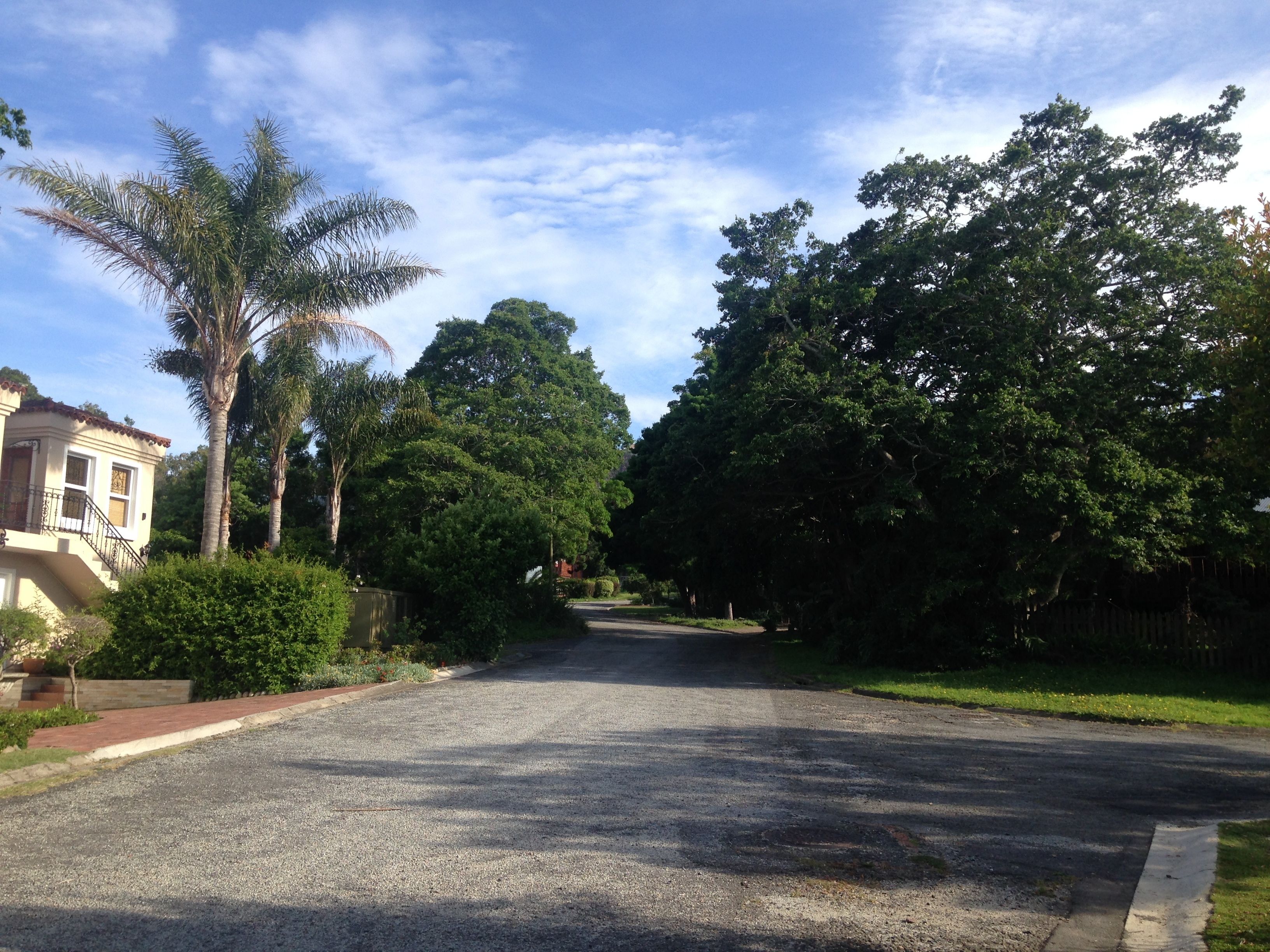Une rue résidentielle, avec une maison sur le côté gauche et de nombreux arbres denses sur le côté droit.