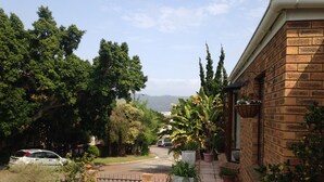 A residential street with a brick house, a paved driveway, and a variety of plants and trees. - Blue Fern of Knysna (Knysna)