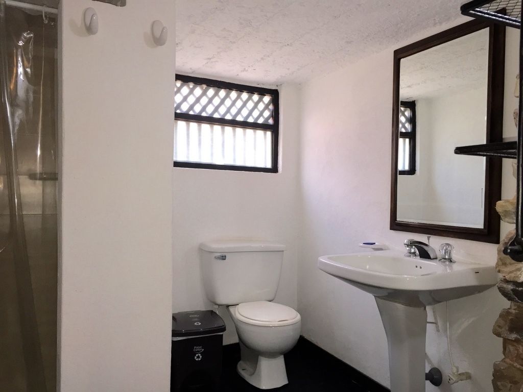 shower, rainfall showerhead, free toiletries, hair dryer