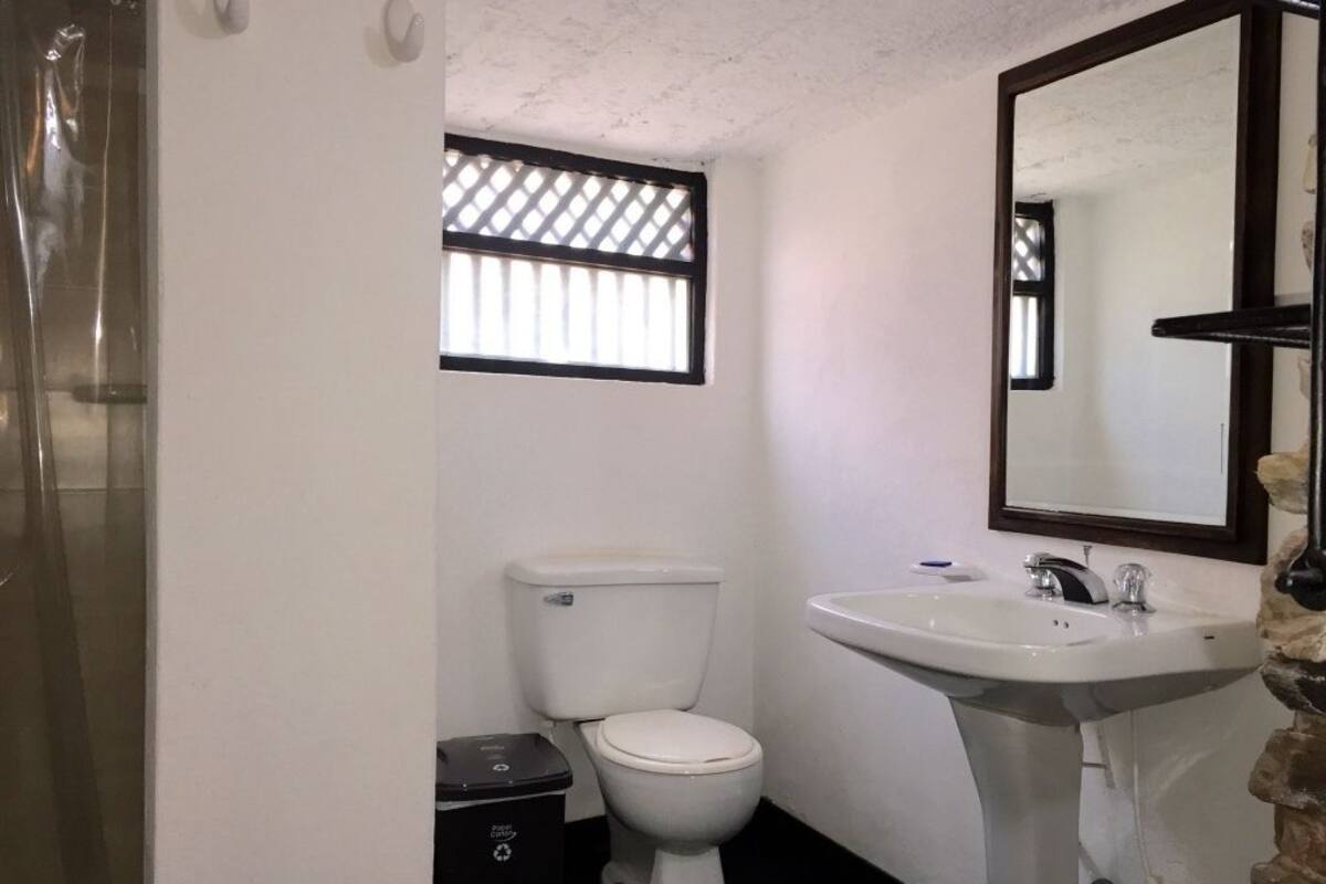 shower, rainfall showerhead, free toiletries, hair dryer