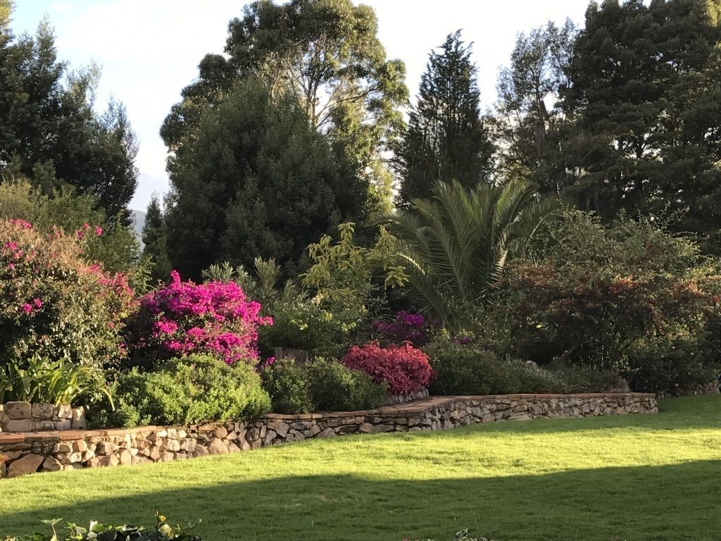 A landscaped garden with various plants and trees, a stone retaining wall, and a grassy area.