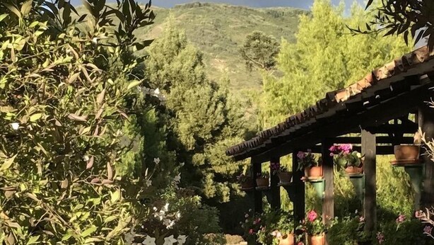 Un sendero en el jardín que lleva a un pérgola con macetas colgantes.