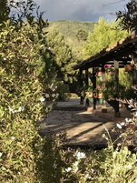 Vista desde la propiedad