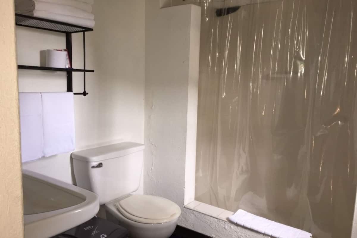 shower, rainfall showerhead, free toiletries, hair dryer