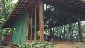 Una struttura in legno con ampie finestre e una parete verde, immersa tra gli alberi.