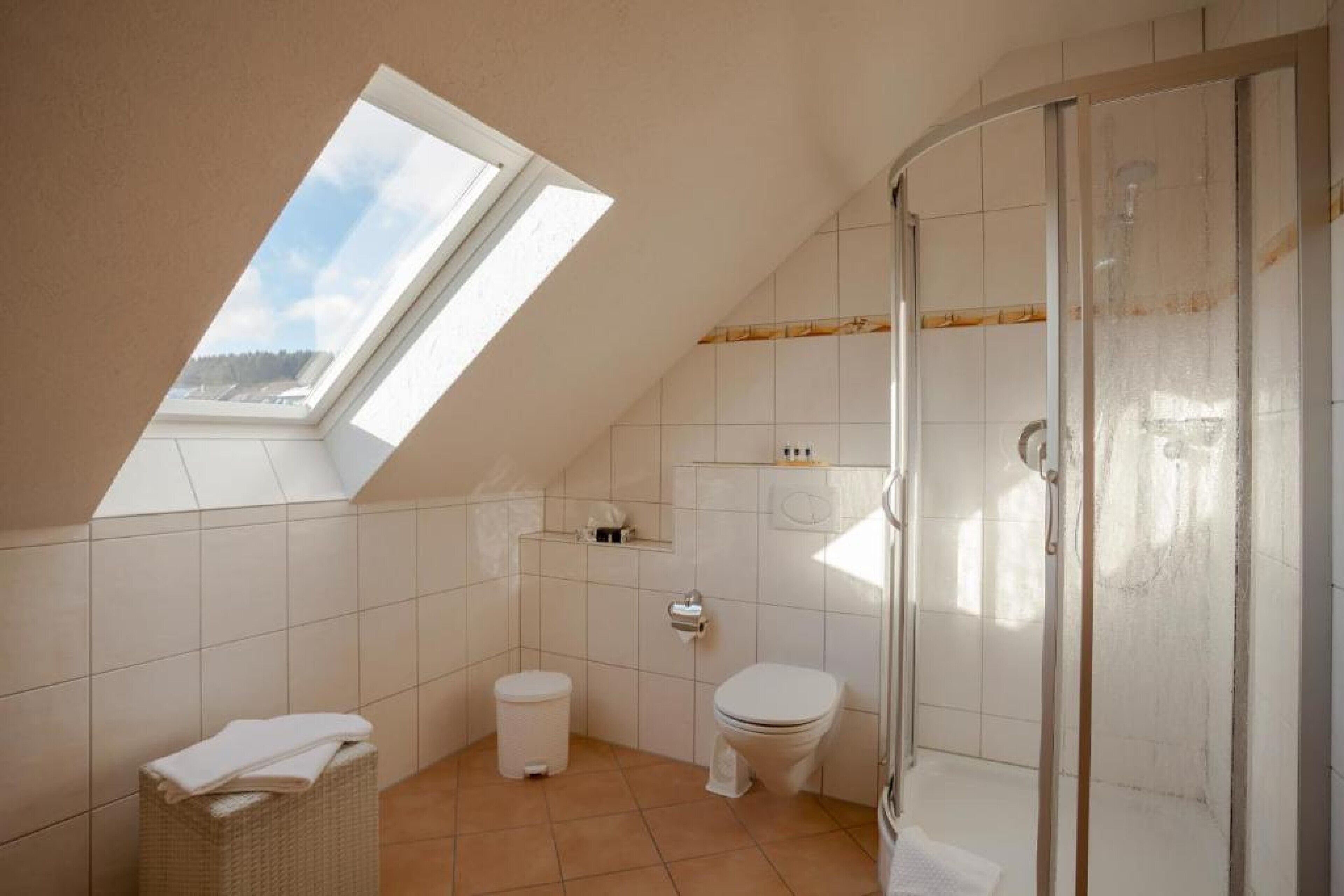 shower, free toiletries, hair dryer, towels