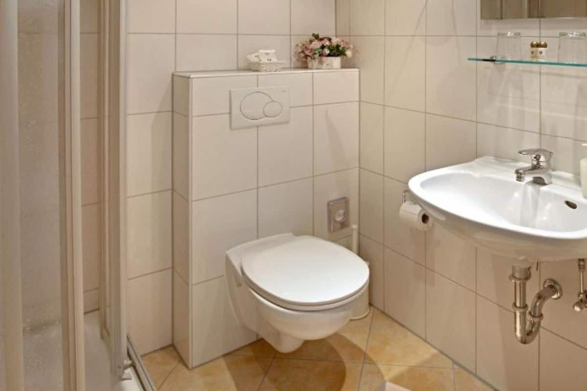 shower, free toiletries, hair dryer, towels