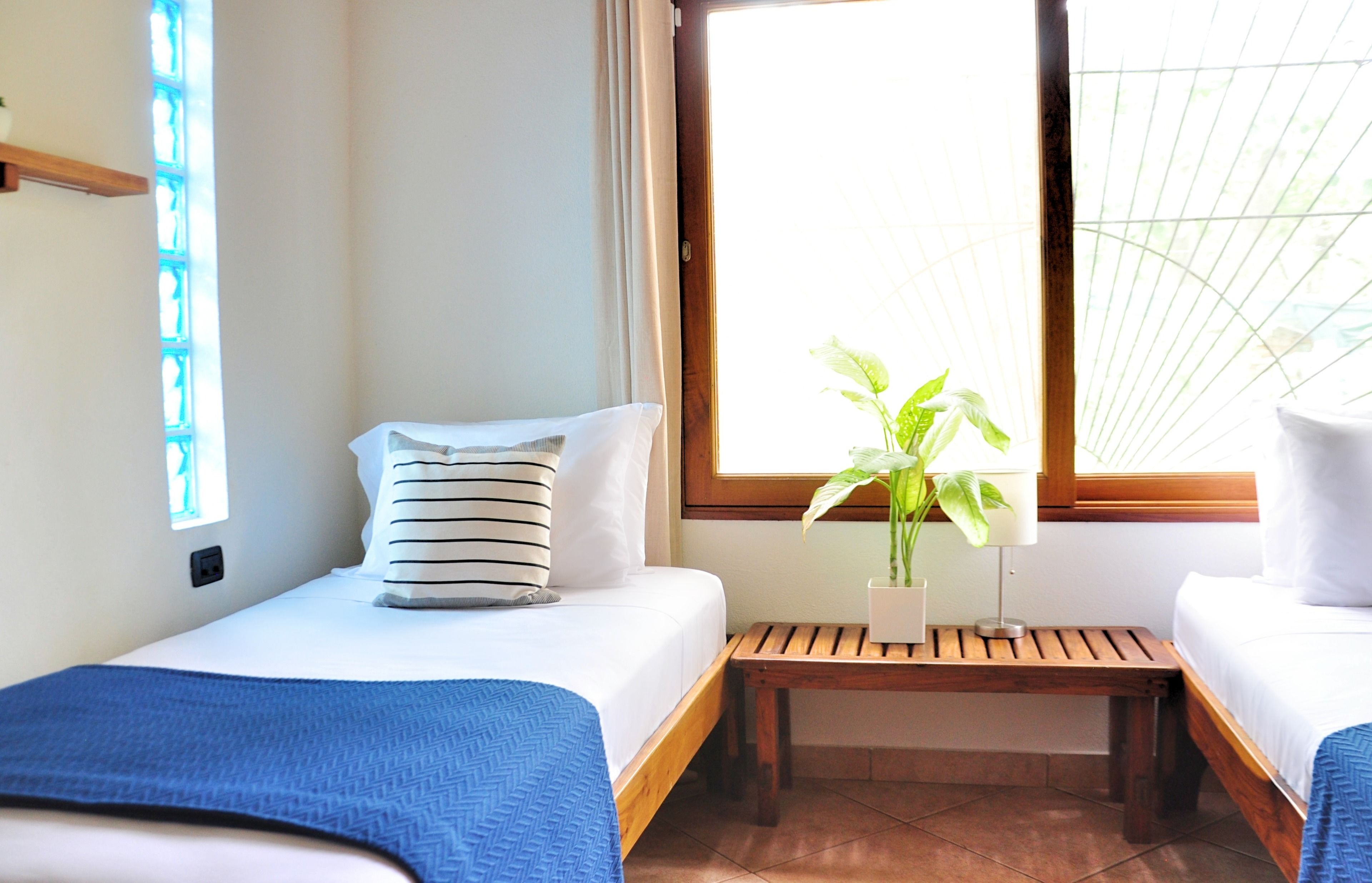 Une chambre d’hôtel avec deux lits, une petite table, une plante en pot et une fenêtre avec des stores.