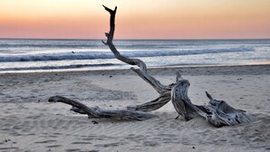 A weathered tree trunk on a beach with waves in the background. - Pazifico Villas (Tamarindo)